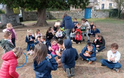 Semaine du Goût: la compote de pommes