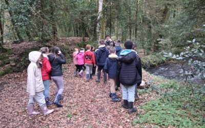 Sortie Nature à Saint-Laurent (CE-CM)