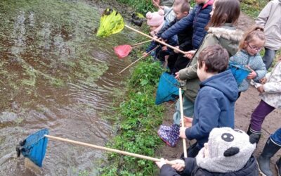 Sortie nature à Saint Laurent