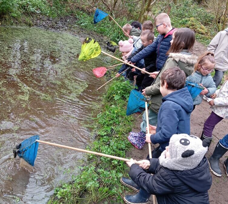 Sortie nature à Saint Laurent